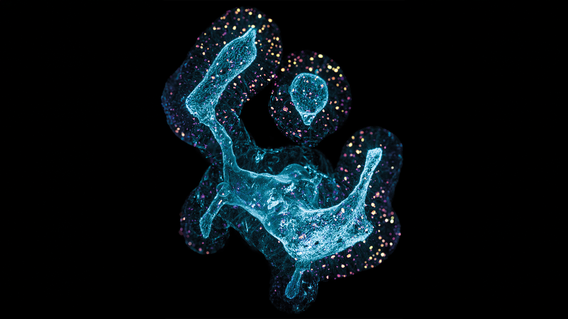 EPFL Latsis Symposium 2026